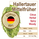 Hallertau Mittelfrüher (GR) Hops